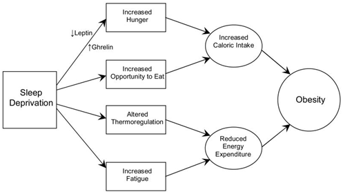 Sleep Affects Weight Loss