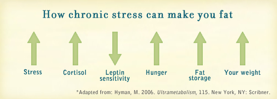 Stress Impedes Weight Loss