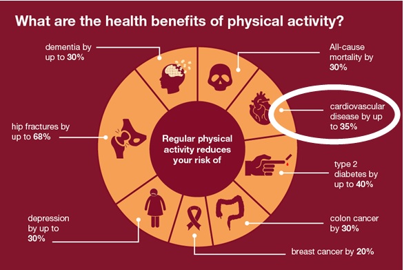 33 Recomended What are the benefits of cardiorespiratory exercise for everyday life Workout at Gym